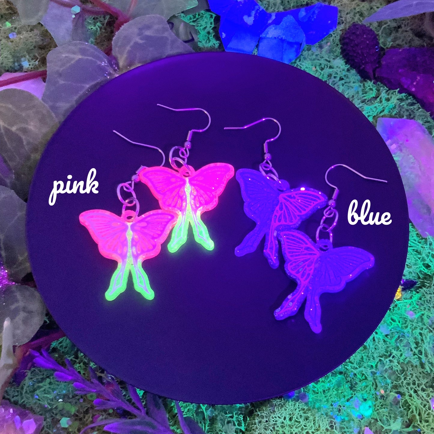 lunar moth