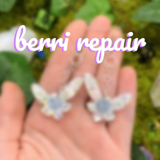 berri repair